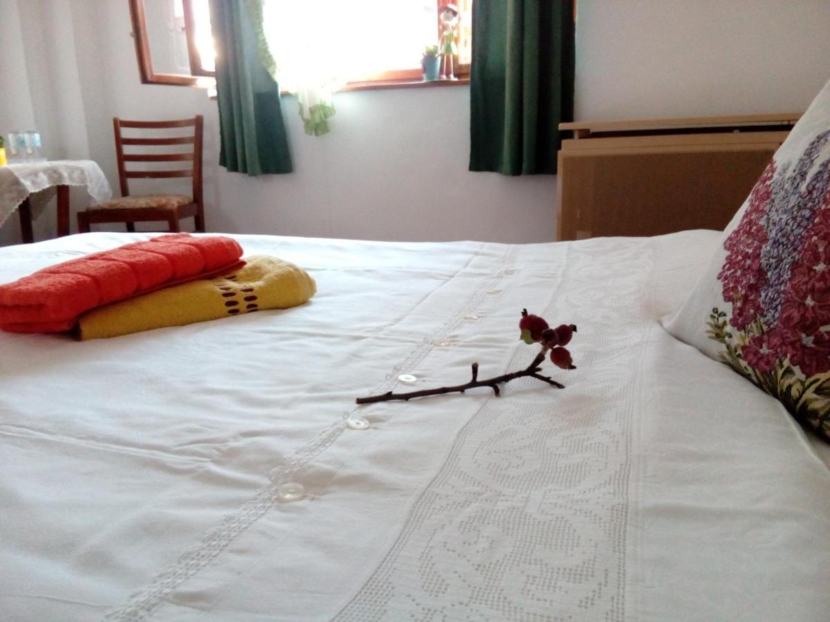 סיגישוארה Grandpa'S Room מראה חיצוני תמונה